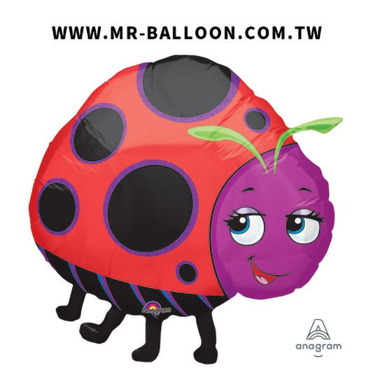 30吋瓢蟲小姐 76cm | 大型瓢蟲小姐 | Mr. Balloon