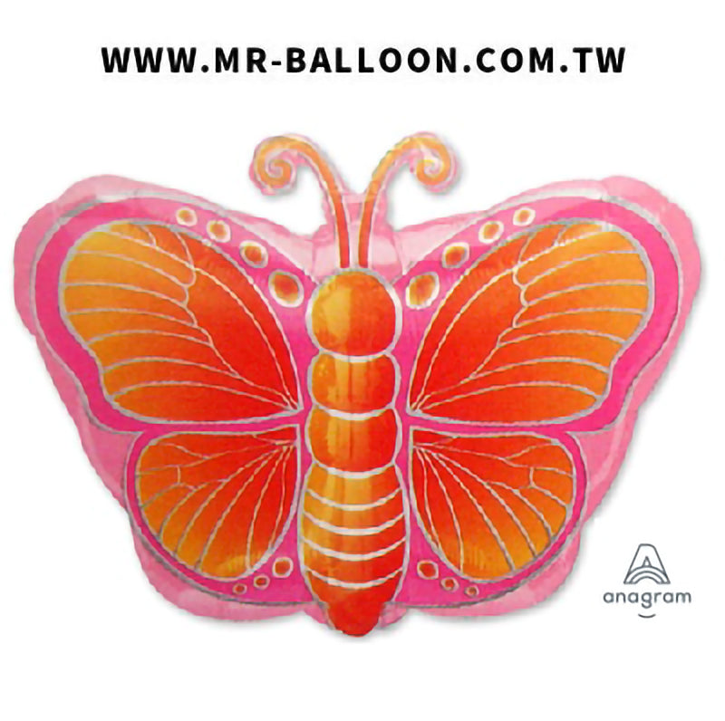 21吋小橘彩蝴蝶53cm | 橘色彩蝴蝶 | Mr. Balloon
