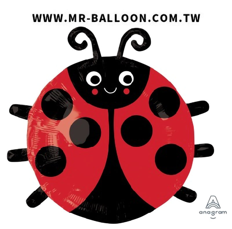 19吋瓢蟲48cm | 可愛瓢蟲造型 | Mr. Balloon