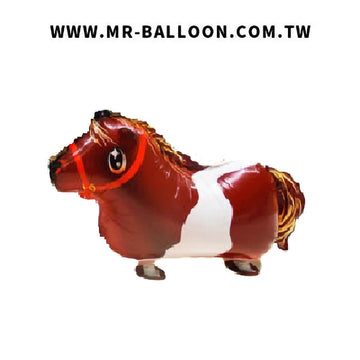 寵物氣球~迷你馬
