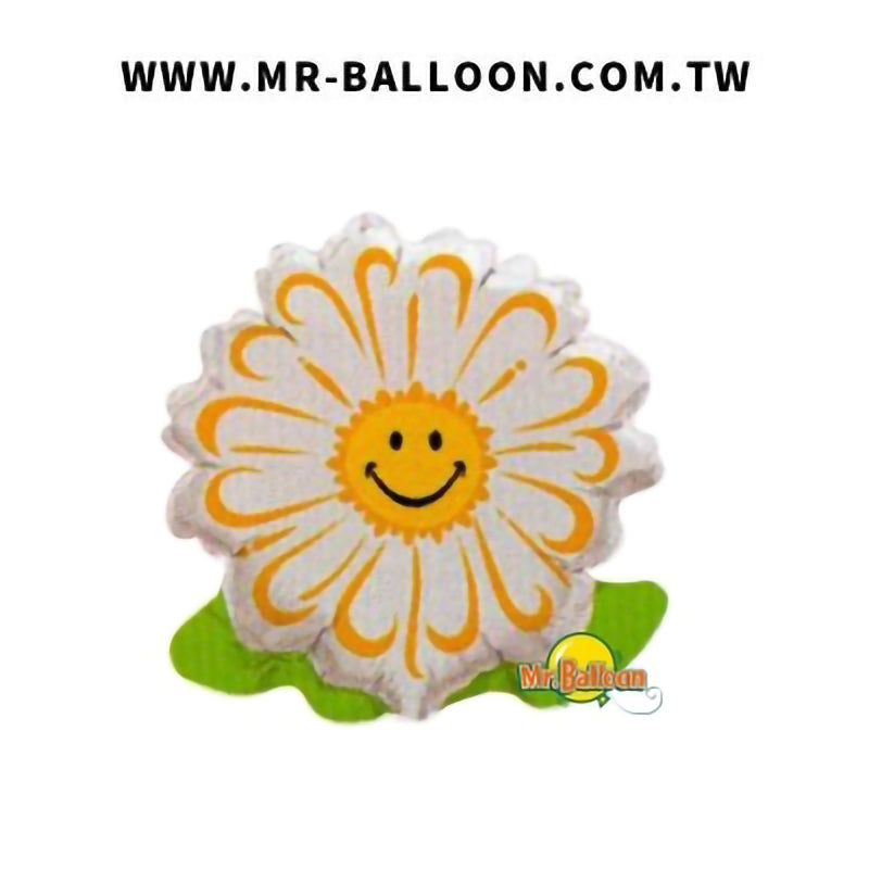10吋笑臉白雛菊25cm
