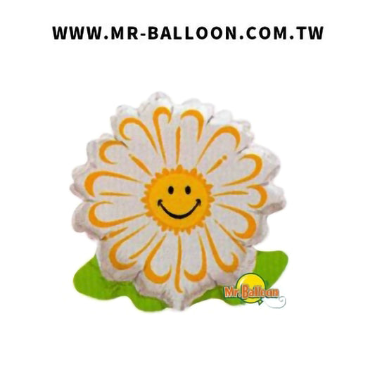 10吋笑臉白雛菊25cm