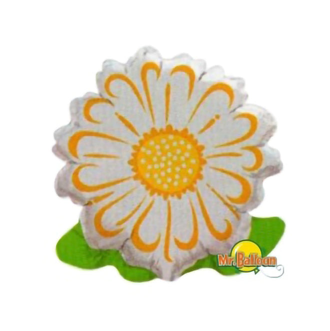 10吋白雛菊25cm