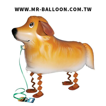 寵物氣球~黃金獵犬