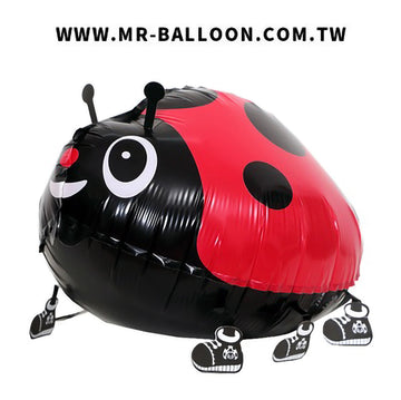 寵物氣球~小瓢蟲