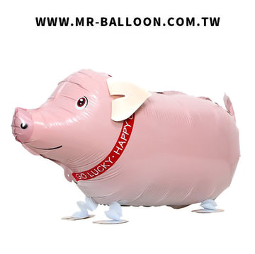 寵物氣球~小豬