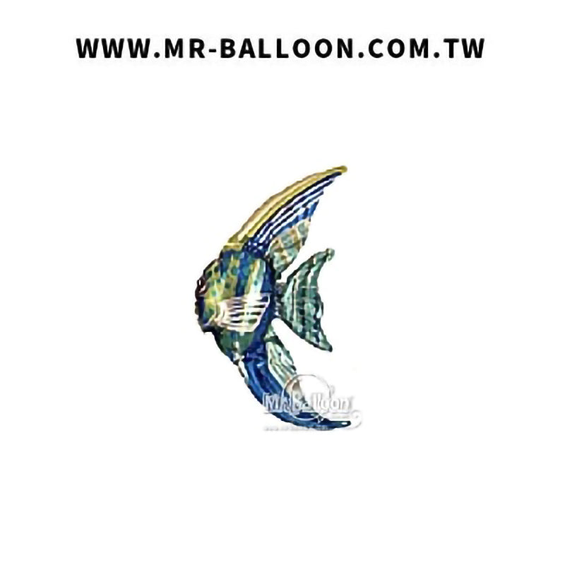 13吋藍色熱帶魚33cm