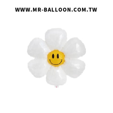 16吋笑臉雞蛋花40cm