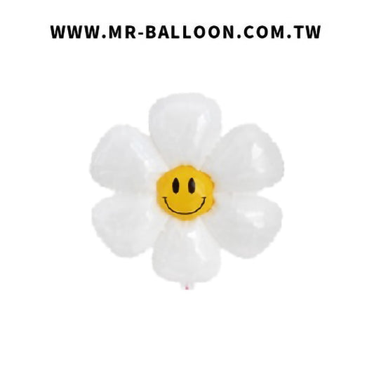 16吋笑臉雞蛋花40cm