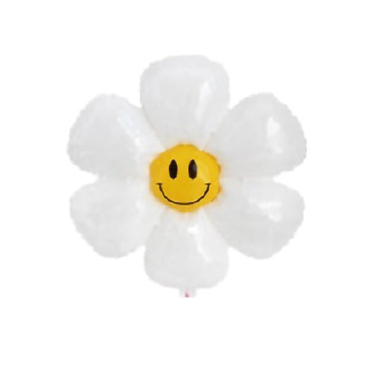 16吋笑臉雞蛋花40cm
